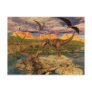 Dinosaur valley postcard