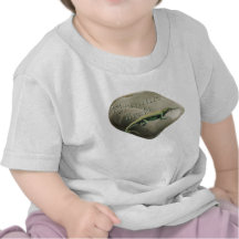 Dinosaurs Rock 5 Shirts