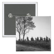 Dirt road by field B&W buttons