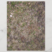Dirty Brown Dry Grass Texture Flyers