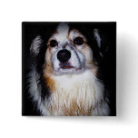 Dirty Digger Doggie Buttons