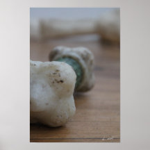 Dirty Dog Bone Print