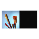 Dirty Old Paintbrushes photo cards