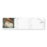 Dirty Photo Bumper Sticker bumper stickers