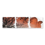 Dirty Photo Bumper Sticker bumper stickers
