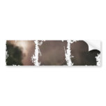 Dirty Photo Bumper Sticker bumper stickers
