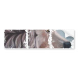 Dirty Photo Bumper Sticker