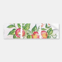 Dirty Photo Bumper Sticker