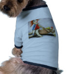 Dirty Socks2 Still Dirty HR pet clothing