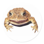 Disapproving Toad stickers