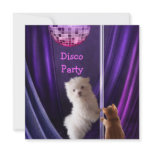 Disco Party Dog Cat Maltese Pole Dancing invitations