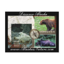Discover Alaska Post Cards