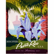 Discover Puerto Rico Photo Sculpture