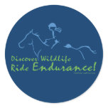 Discover Wildlife - Endurance Horse Stickers