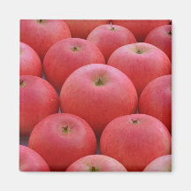 Discovery apple magnet