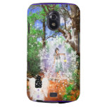 Discovery Sedona casemate cases