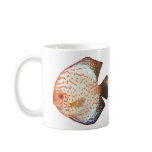 Discus Mugs