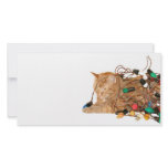 Disgruntled Christmas cat photo cards