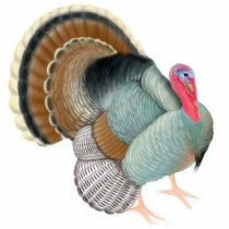 Displaying Tom Turkey Ornament