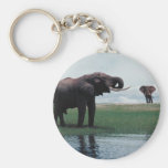 Distant Elephants Keychains