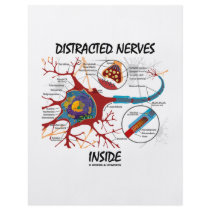 Distracted Nerves Inside (Synapse)