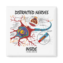 Distracted Nerves Inside (Synapse)