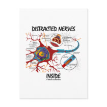 Distracted Nerves Inside (Synapse)