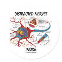 Distracted Nerves Inside (Synapse)