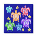 Distressed Rainbow Turtles Magnets