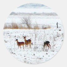 Distressed Round Stickers