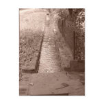 Ditched postcards