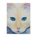Ditto Postcard