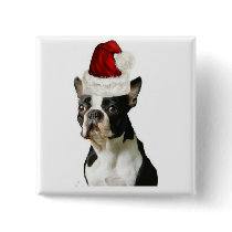 Ditzy Dogs~Original Button~Boston Terrier