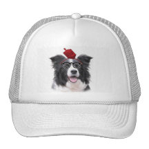 Ditzy Dogs~Original Hat~Border Collie