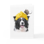 Ditzy Dogs~Original Notecard~Border Collie