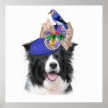 Ditzy Dogs~Original Poster~Border Collie