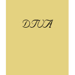 DIVA t-shirts
