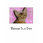 Diva t-shirts