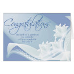 Diva's Congratulations-New Grandson Greeting Card