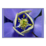 Dive in greeting cards