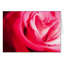 Dive-into-Pink Card