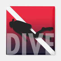 DIVE MAGNETS