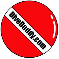 DiveBuddy.com Key Chain Photo Cutouts