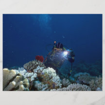 Diver shooting video on coral bed flyer design