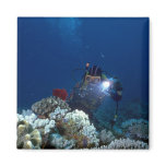 Diver shooting video on coral bed fridge magnet