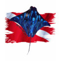 DiverDown Flag Creations t-shirts