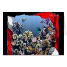 Divers Den Collection Greeting Card
