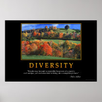 Diversity Posters