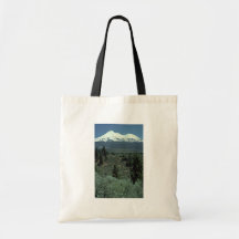 Dividing Lines Canvas Bag
