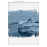 Diving Dolphin Greeting Card